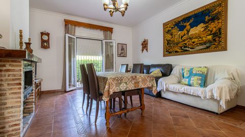 Foto 4 de Finca rústica en venta en Paterna de Rivera, Cádiz