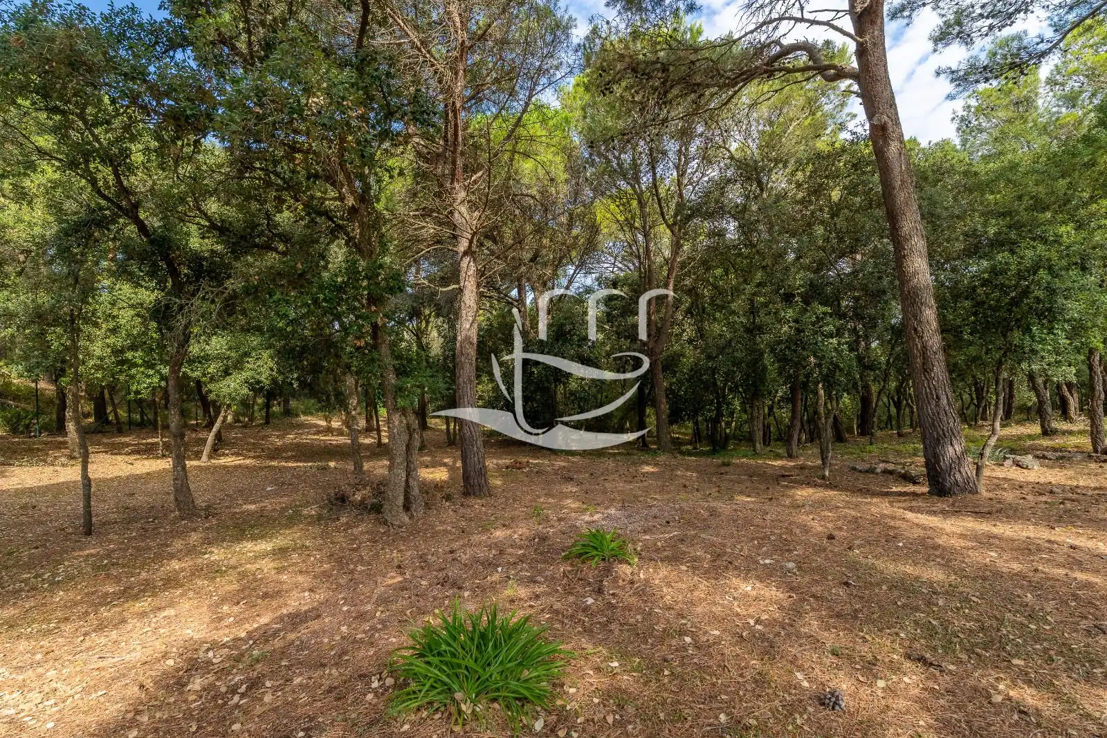 Villa in vendita a Carles Riba, imagen 43