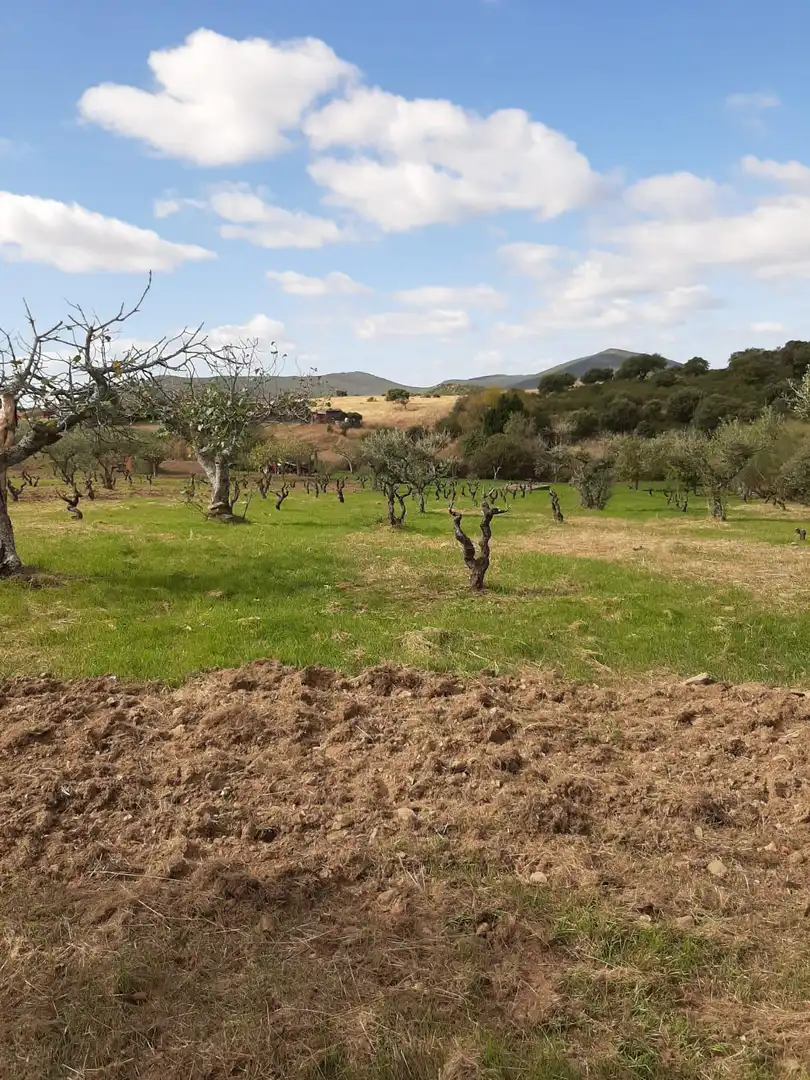 Finca rústica en venta en Jerte