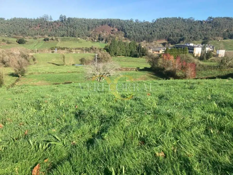 Terreny residencial en venda a El Peral, imagen 6