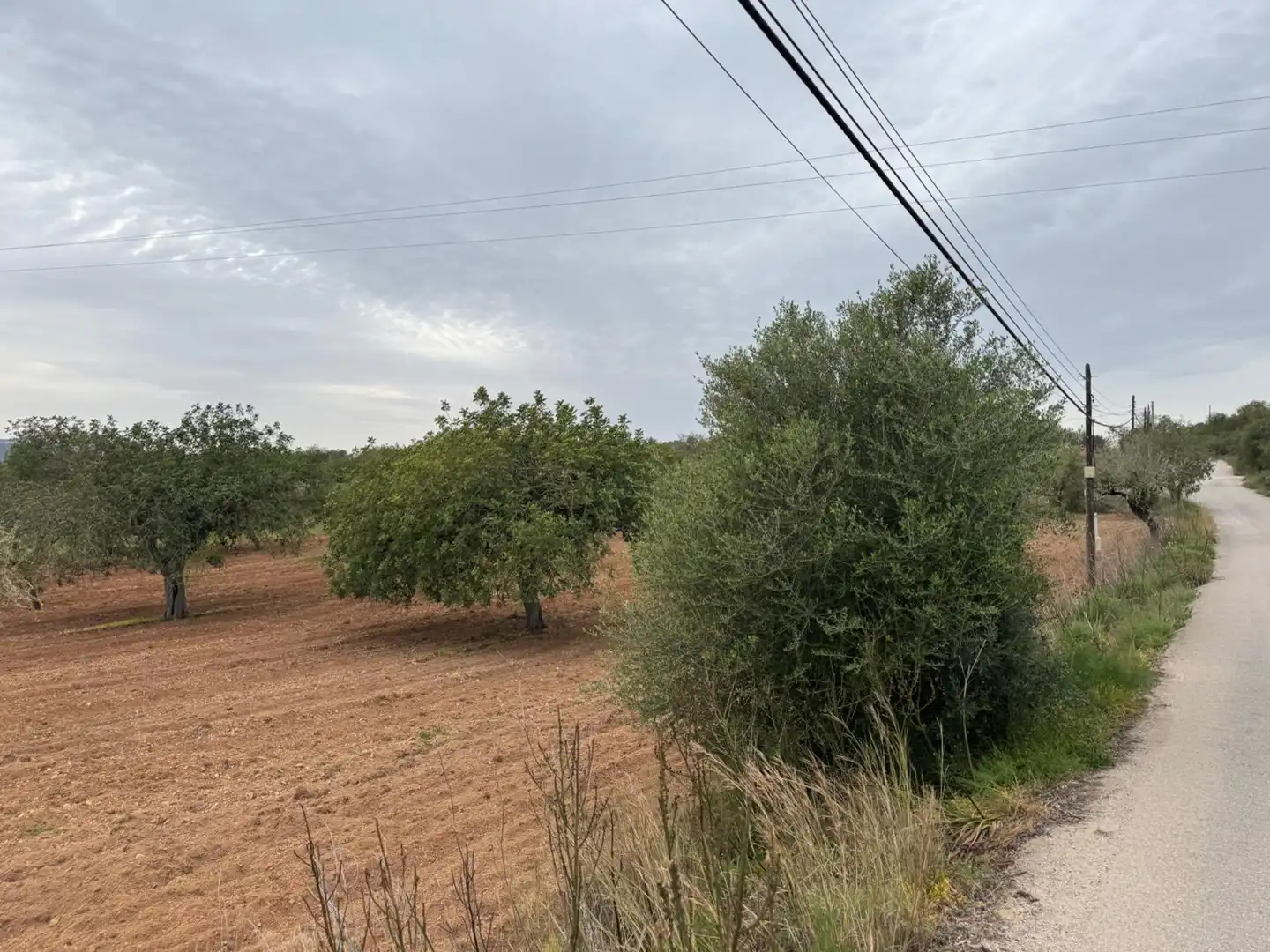 Rustikales Grundstück zum Verkauf in Camino Camí Vell de Porreres 2, imagen 18