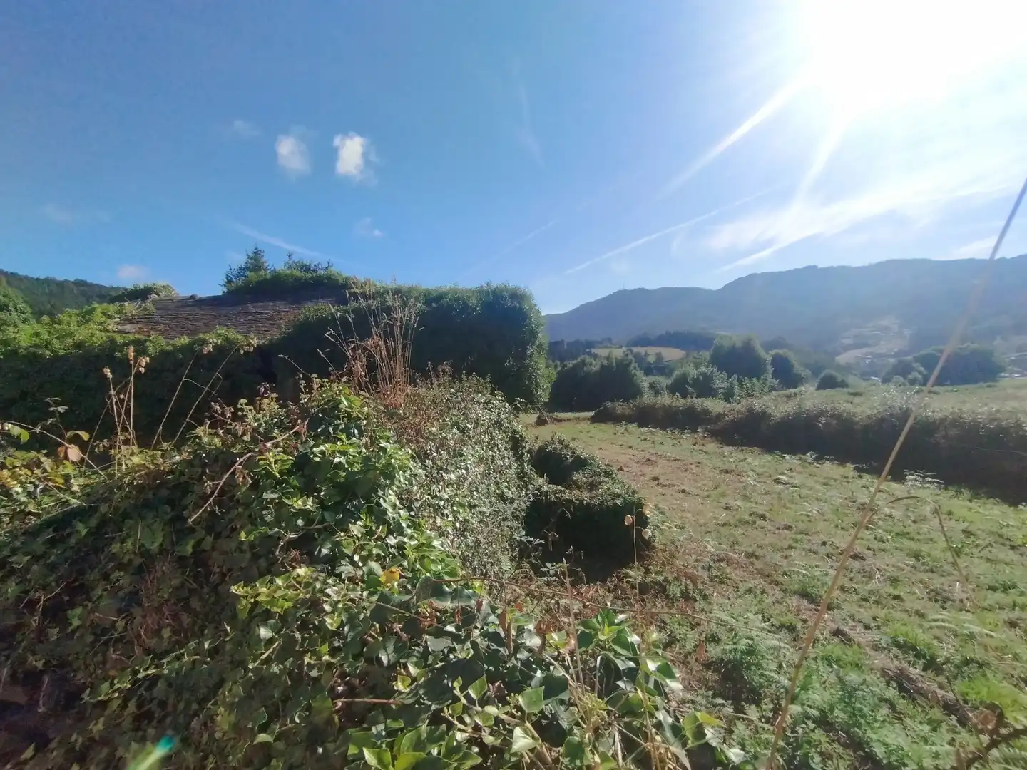 Casa o chalet en venta en Ourol con Jardín privado