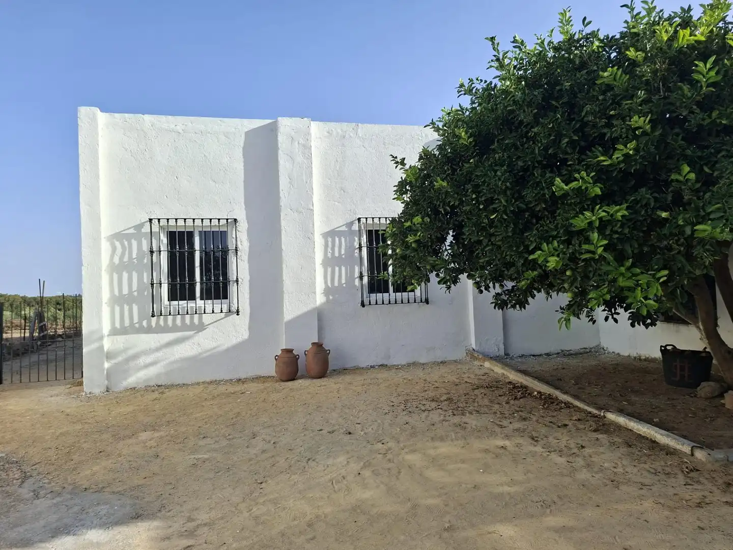 Exterior view of Country homes for sale in Chiclana de la Frontera  with Private garden