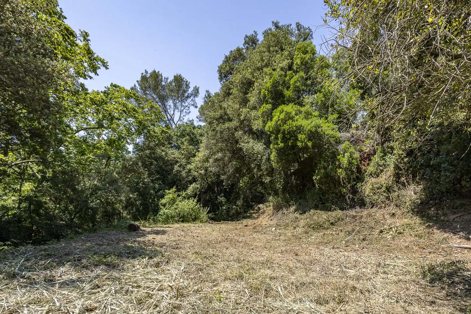 Casa con jardín en venta en Torrelles de Llobregat, imagen 6