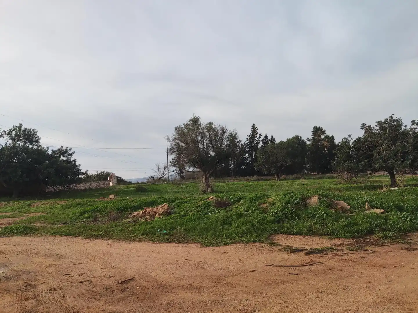 Finca rústica en venda en Cartagena