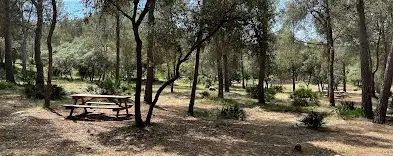 Residential land for sale in Plaza Generalitat, imagen 10