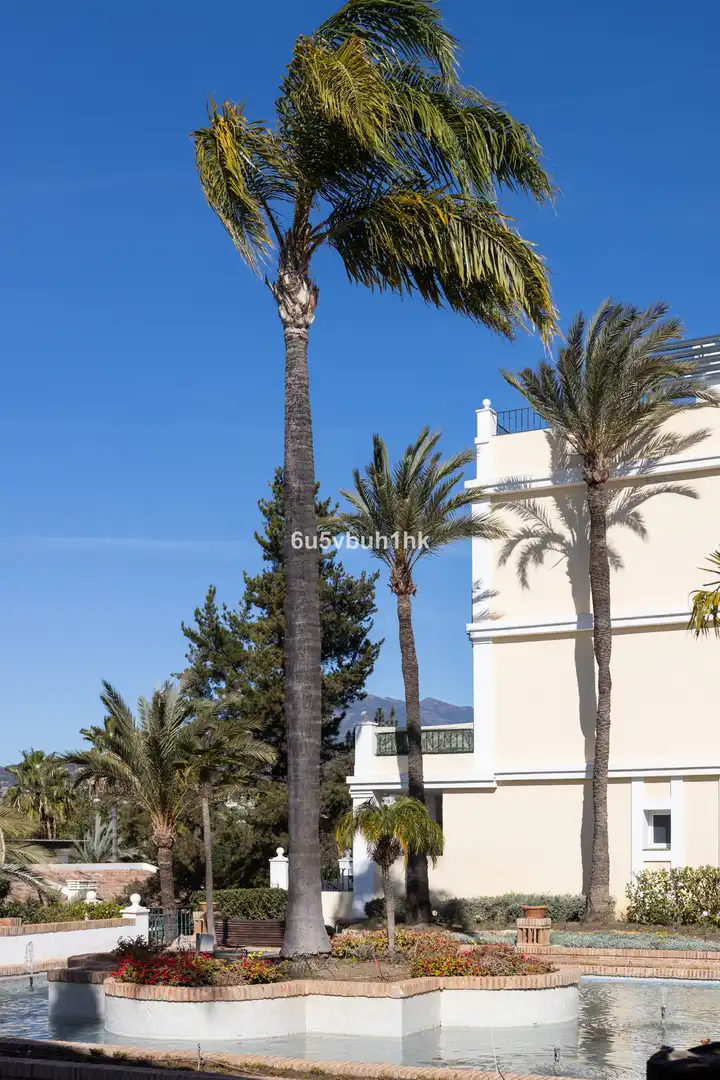 Apartament amb piscina en venda a Nueva Andalucía, imagen 22