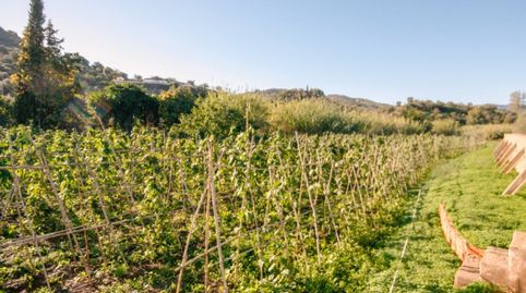 Foto 2 de Finca rústica en venta en Partida Puerto Falso, Coín, Málaga