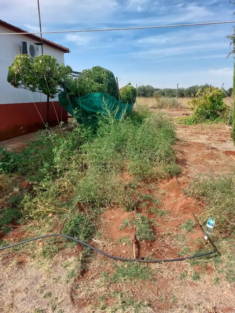 Country homes for rent in Argamasilla de Calatrava, Ciudad Real
