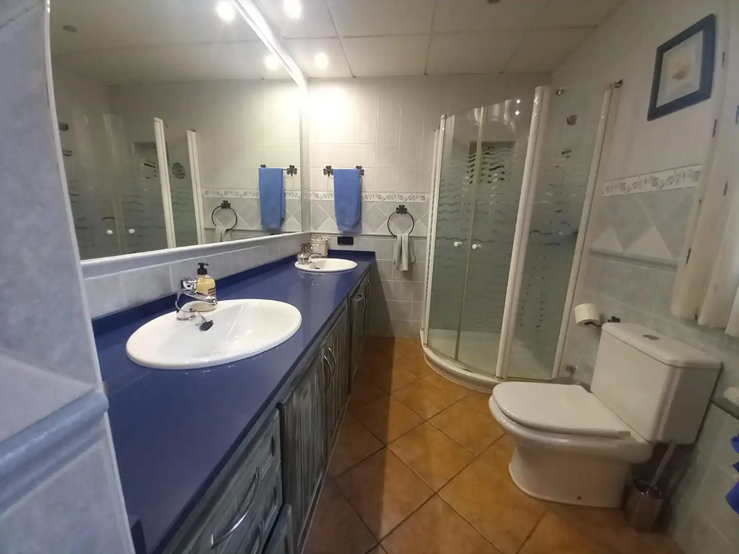 Bany de Casa o xalet en venda en Dos Hermanas amb Aire condicionat, Terrassa i Traster
