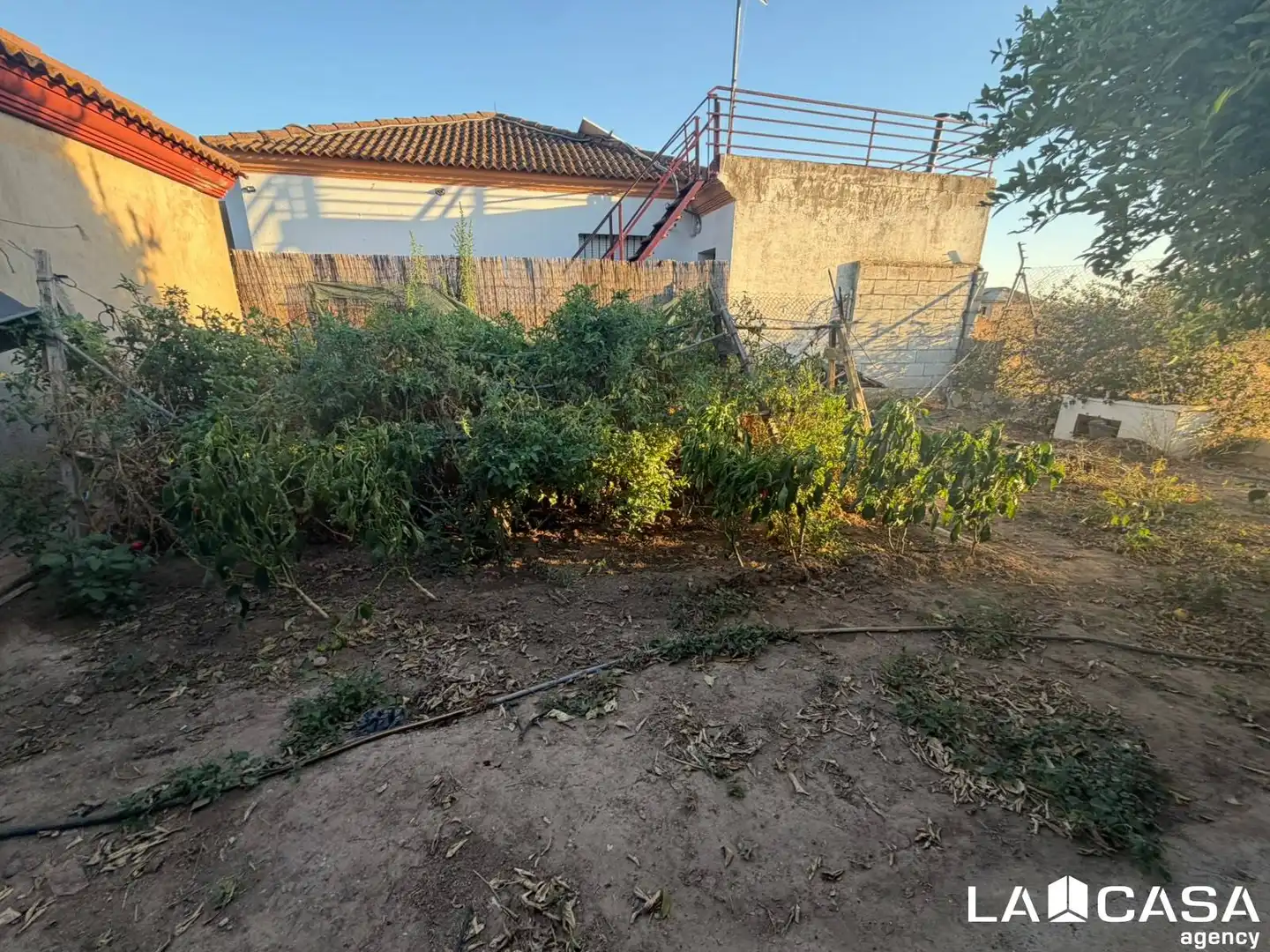 Houses for sale in Arco Norte - Avda. España