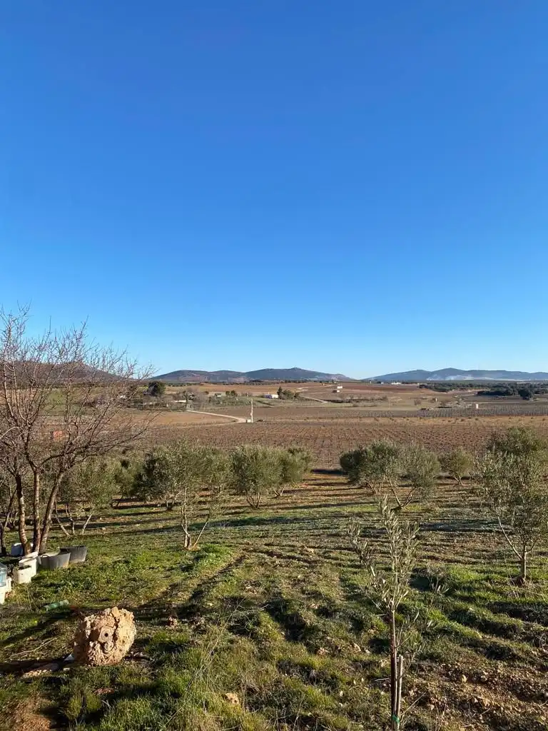 Casa rústica en venda a Valdepeñas, imagen 11