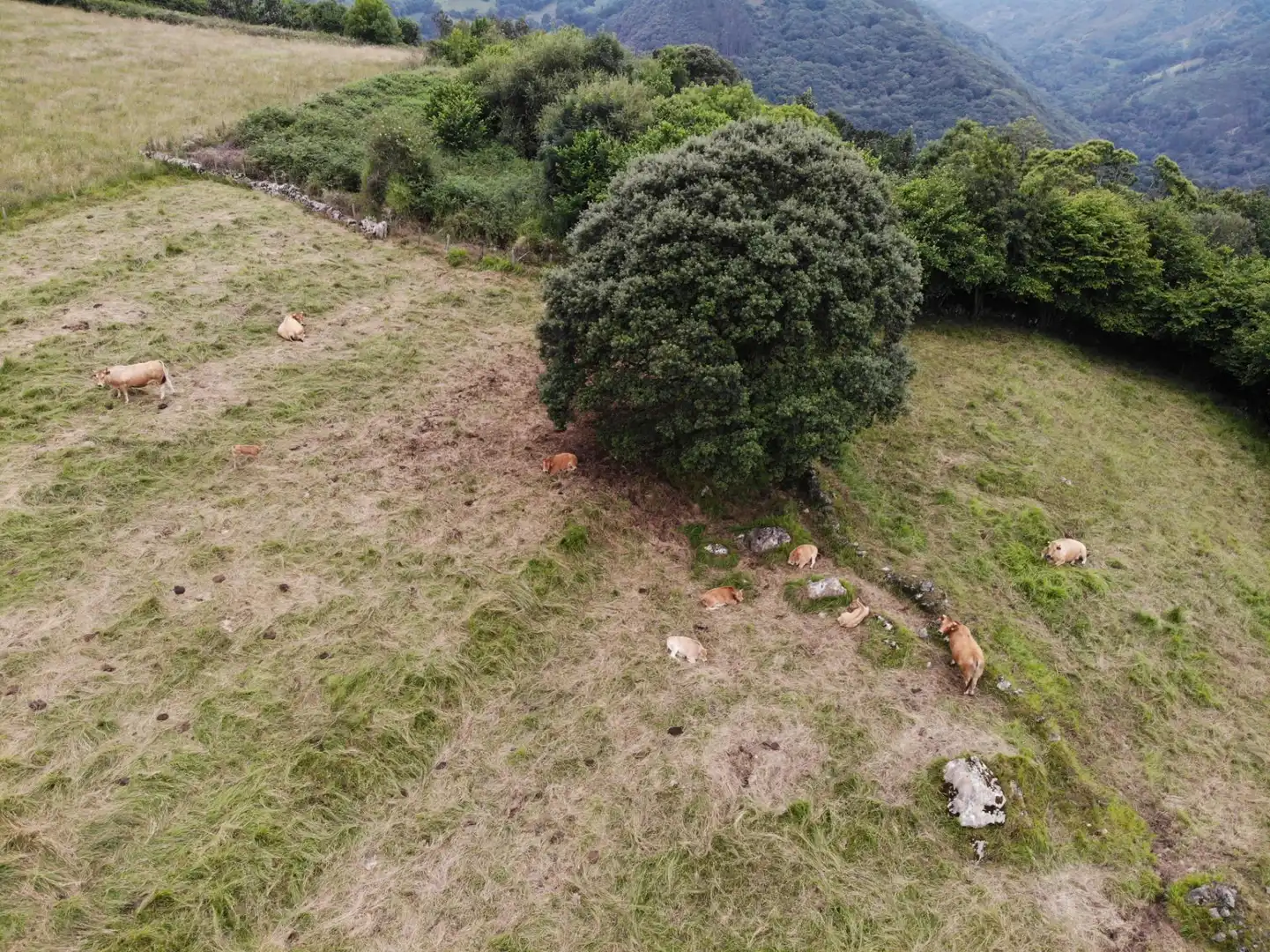 Terreny rústic en venda a Lugar VILLAGARCIA 30, imagen 31