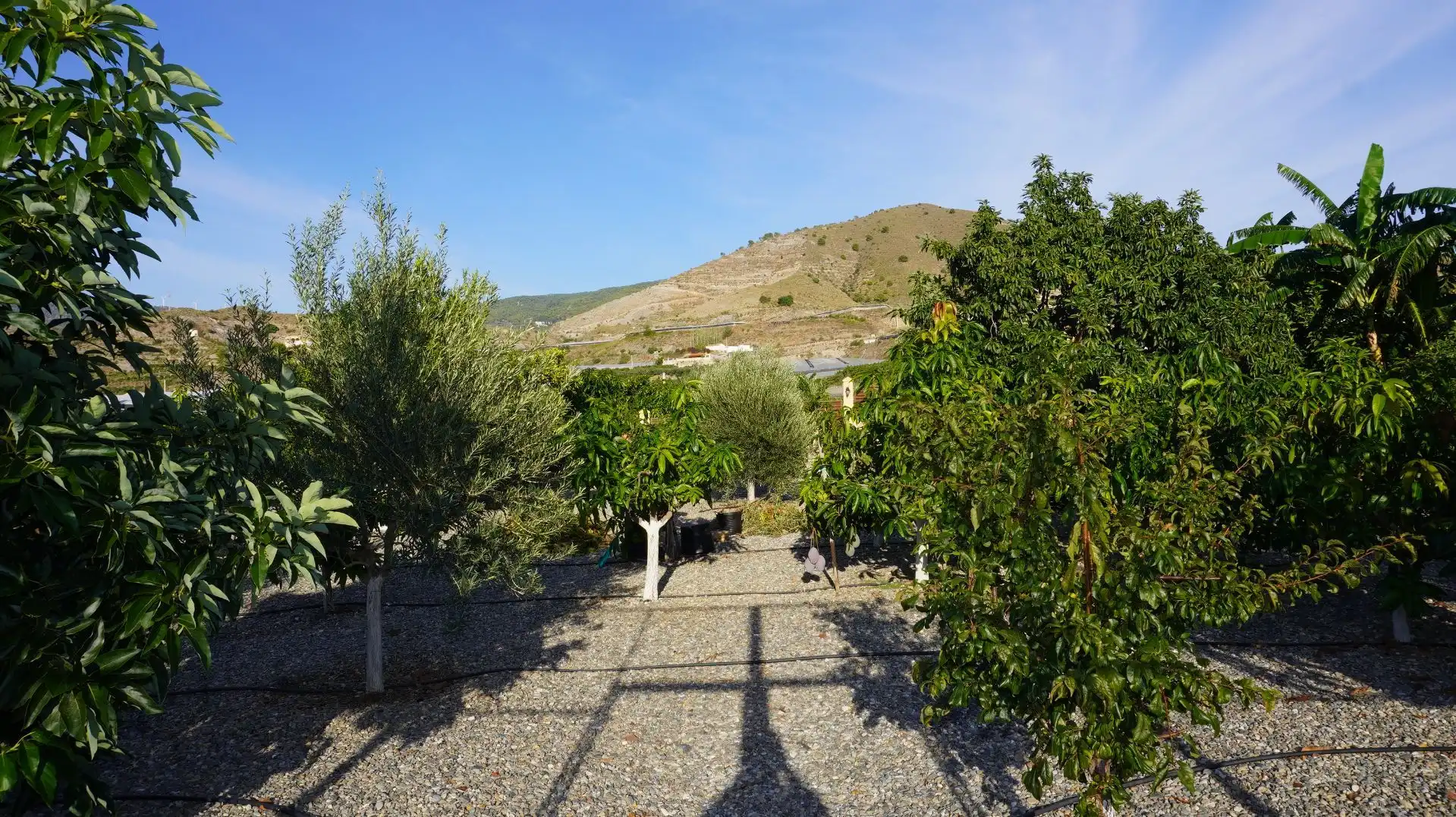 Jardí de Finca rústica en venda en Motril amb Aire condicionat, Terrassa i Traster