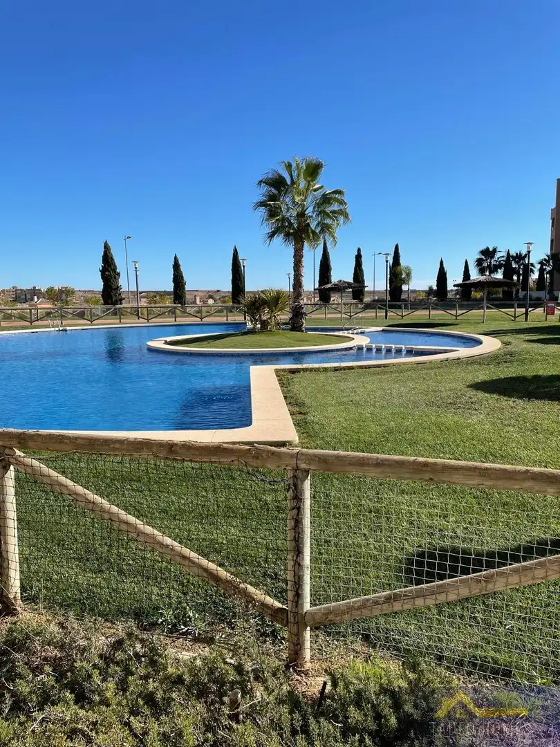 Piscina de Apartament de lloguer en Murcia amb Aire condicionat, Calefacció i Terrassa