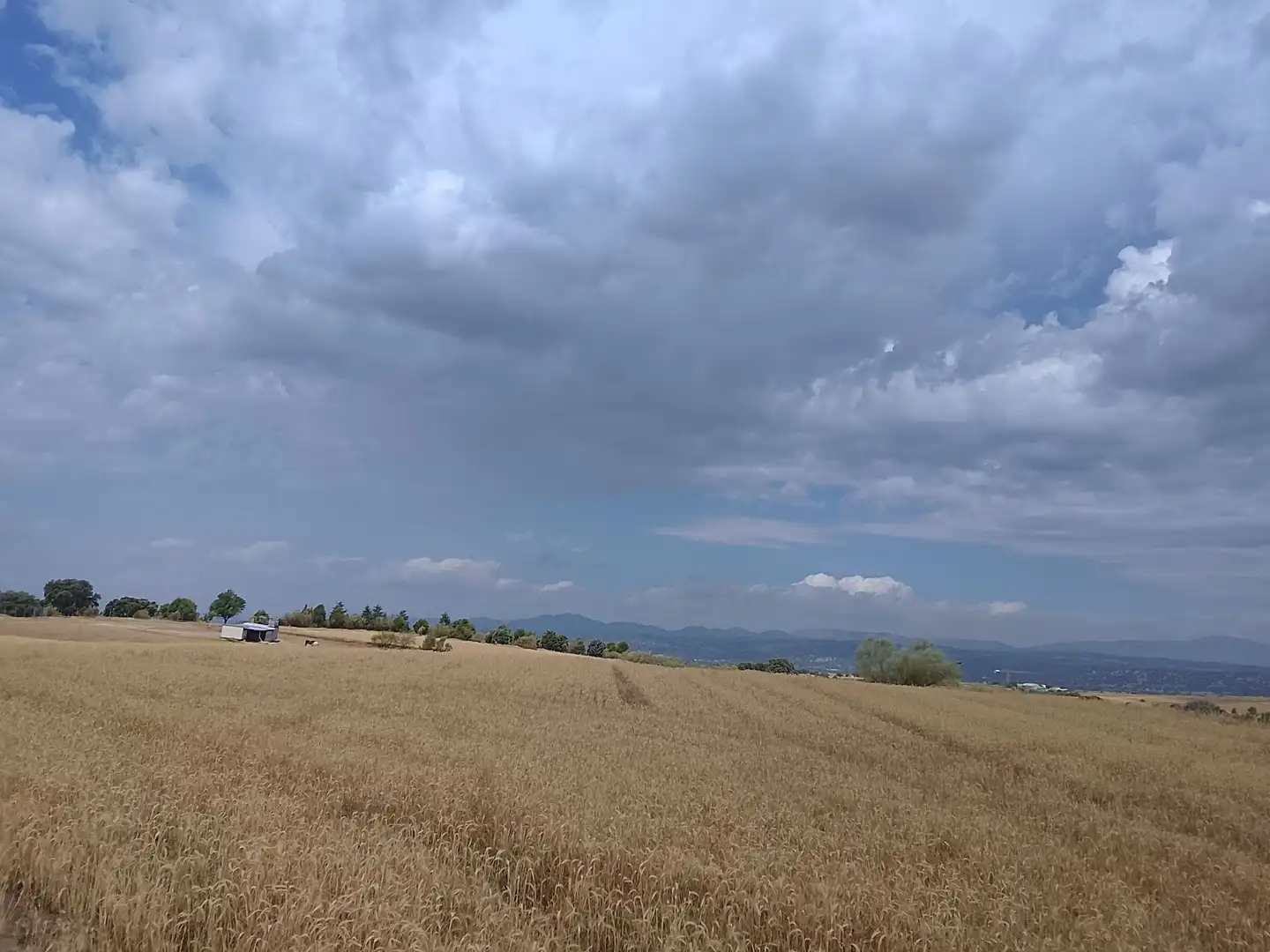 Terreno rustico in vendita a Quijorna, imagen 2