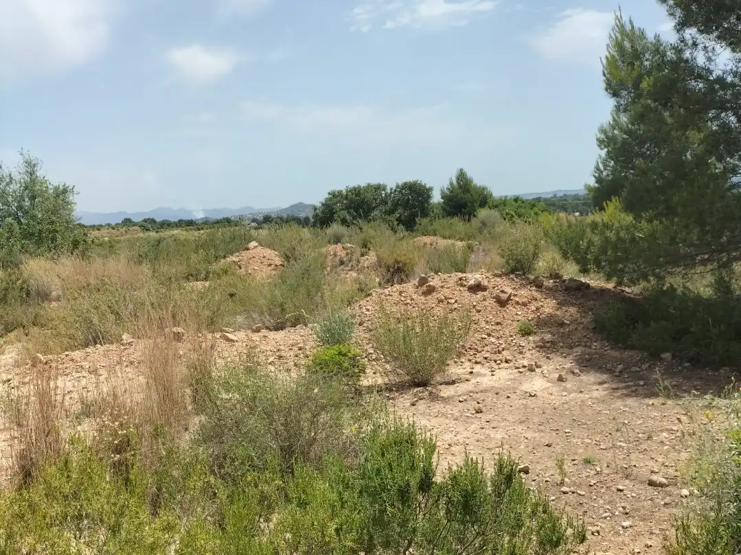 Terreno rústico en venta en PTA. CHACARELL pol 27, parcela 240, imagen 4