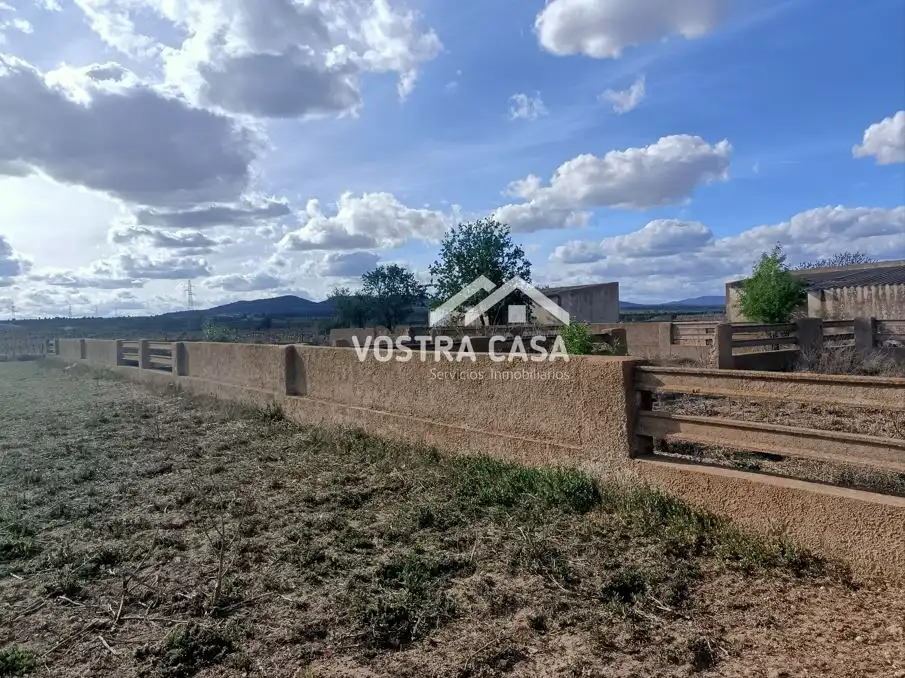 Terreny rústic en venda a PARAJE DE LA CERCA, imagen 17