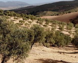 Exterior view of Land for sale in Campillos