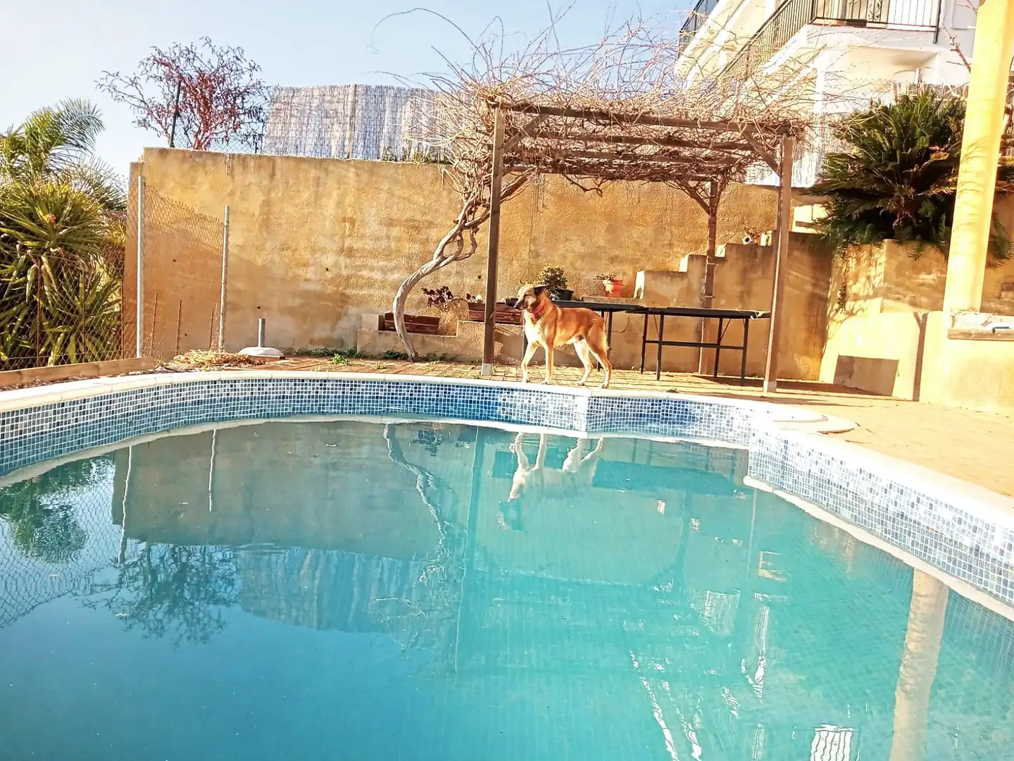 Xalet amb terrassa en venda a Lloret Verd - Els Pinars, imagen 28
