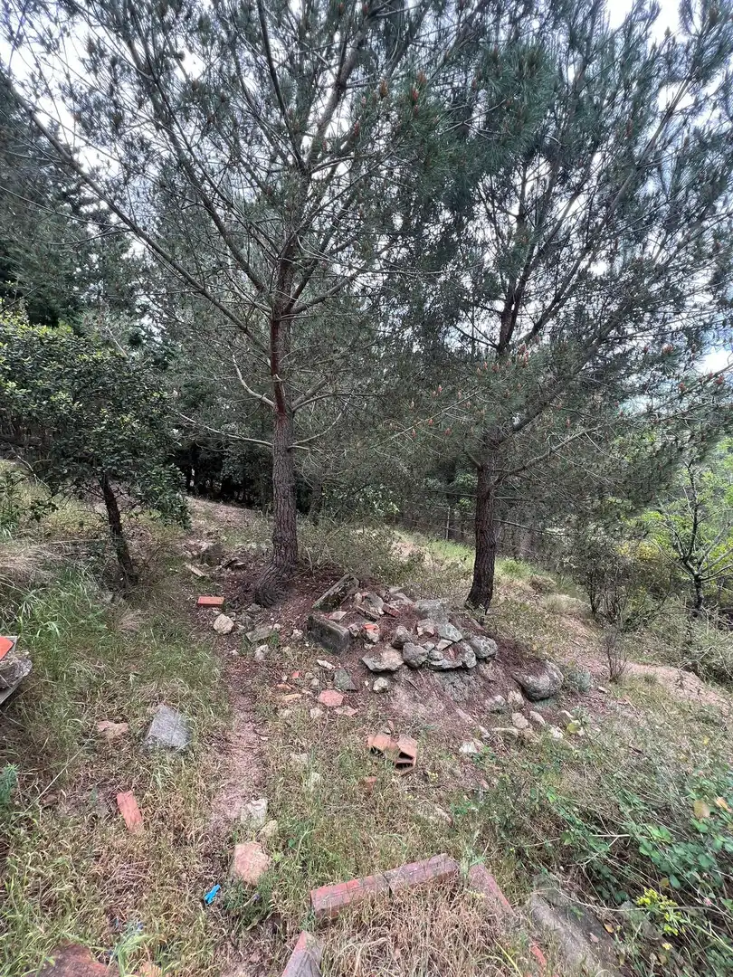 Casa o xalet en venda en Tordera amb Jardí privat