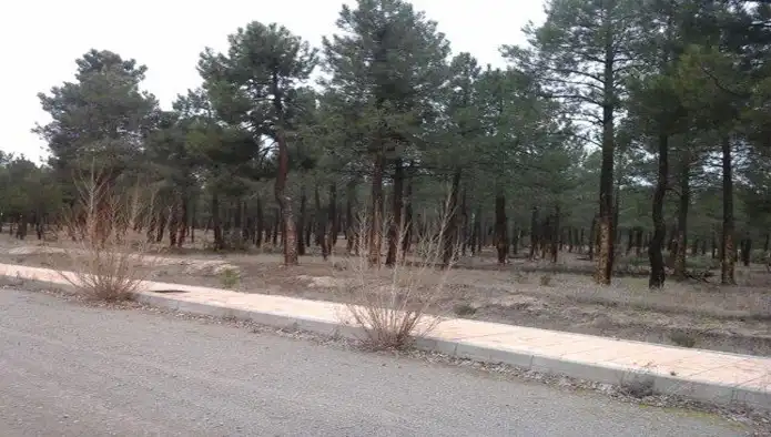 Terreni e lotti in vendita a Paraje de Bilbao, Pol 10 - Rinconada, Peña Majapan -, imagen 8