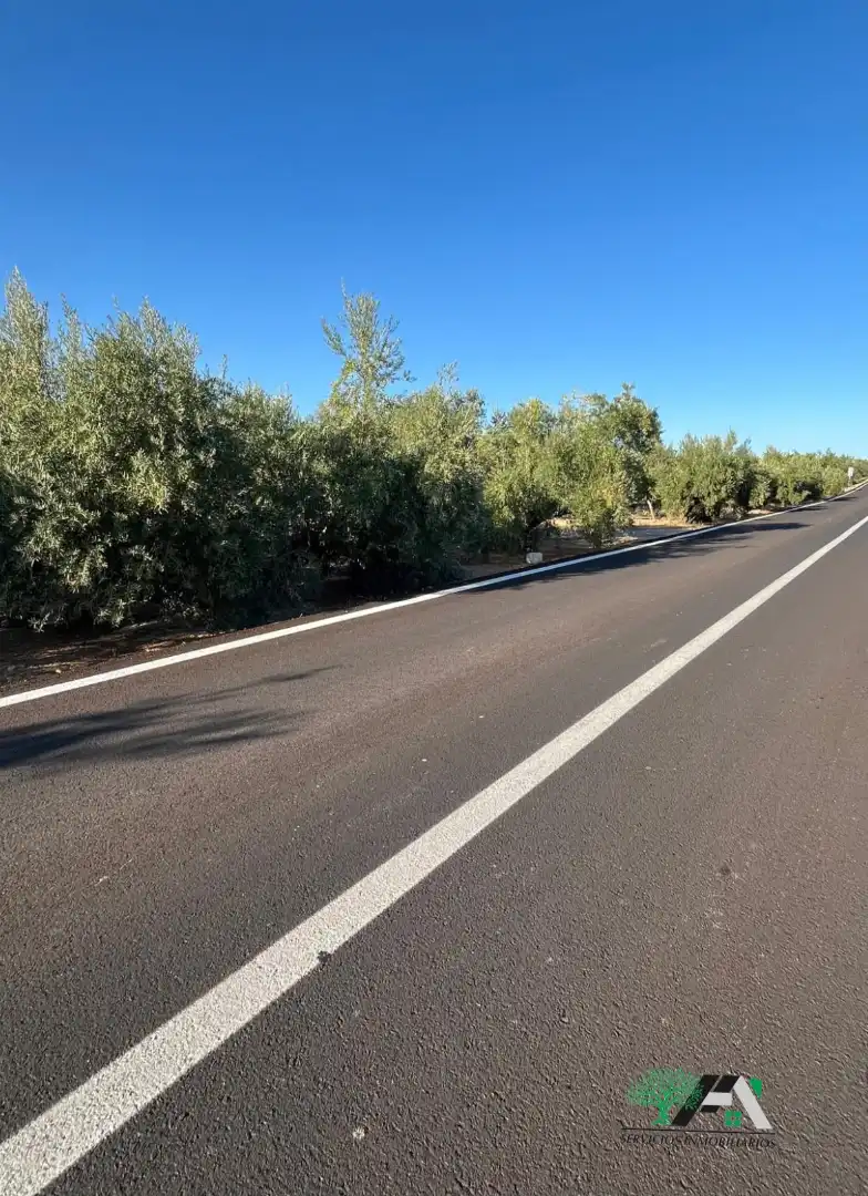 Terreno industrial en venta en Úbeda, imagen 4