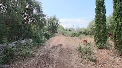 Foto 3 de Terreno en venta en Llubí, Illes Balears
