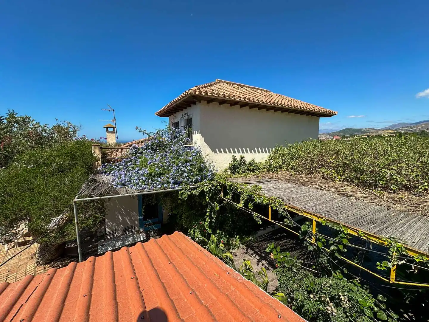 Vista exterior de Casa o chalet en venta en Motril con Calefacción, Terraza y Trastero