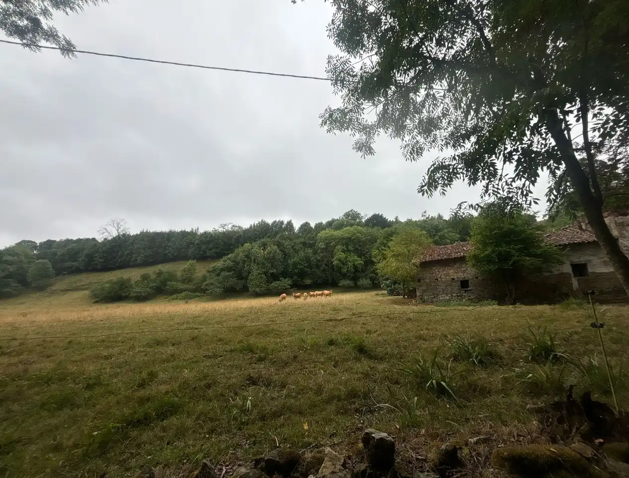 Finca rústica en venda en Gijón  amb Jardí privat