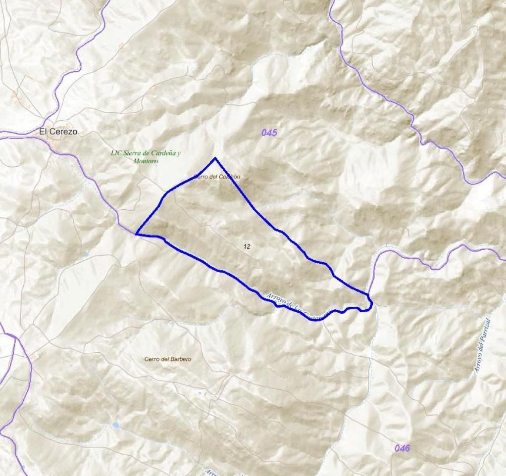 Land for sale in CERRO BARBERO, Cardeña