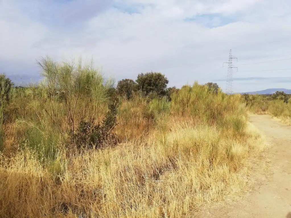Terreni e lotti in vendita a Ur. Cerro Alberche, imagen 17