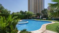 Piscina de Apartament en venda en Benidorm amb Terrassa