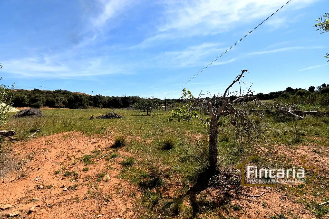 Rural land for sale in De La Torre Nova, imagen 17