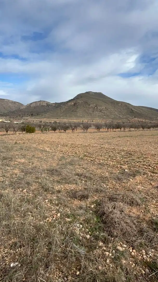 Residencial en venta en Hondón de los Frailes
