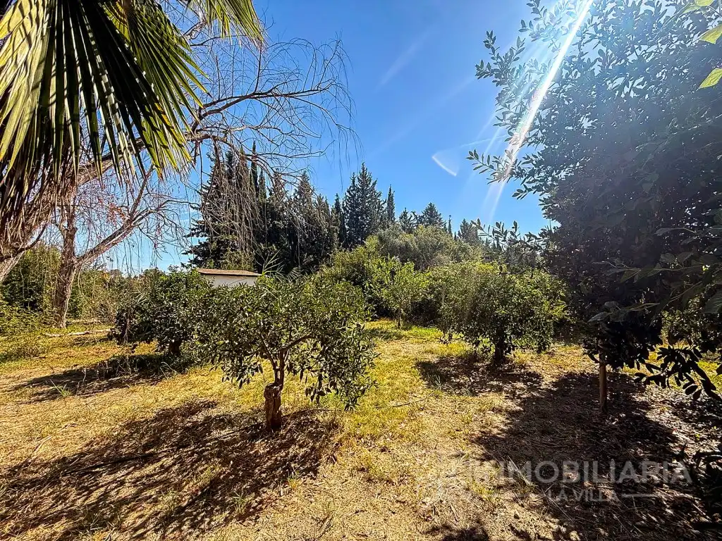 Casa rústica en venta en Poligono 30 Paraje 252 Puerto Rico, imagen 7