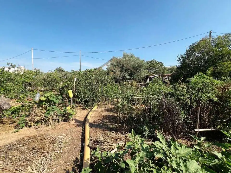 Casa o xalet en venda en Castellón de la Plana / Castelló de la Plana amb Traster