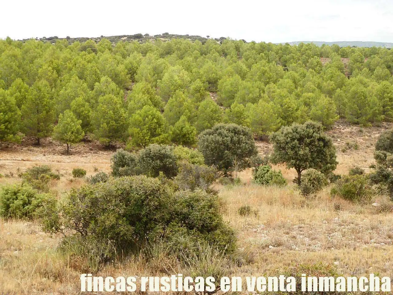Terreni e lotti in vendita a Belmonte, imagen 17