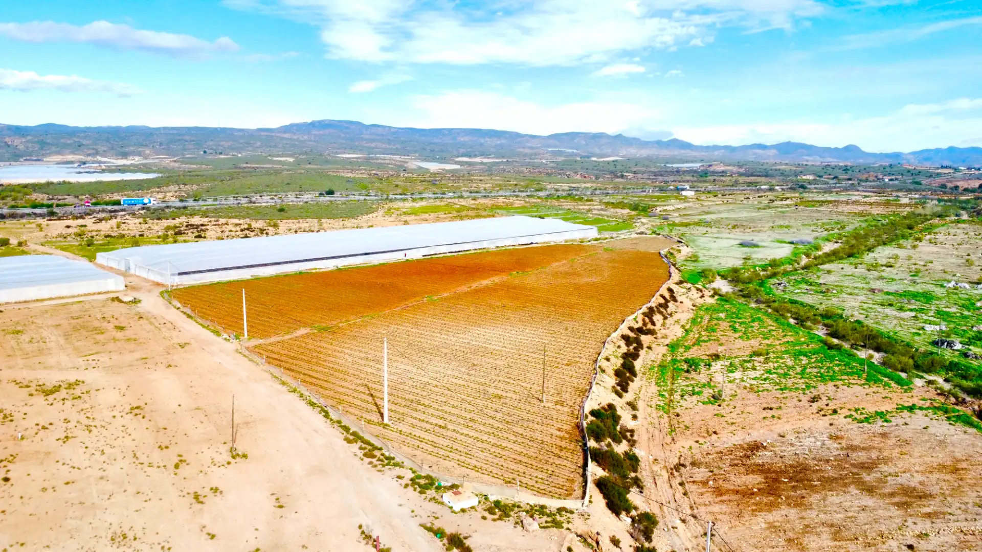 Terreny rústic en venda a Diseminado Saladar y Leche, imagen 16