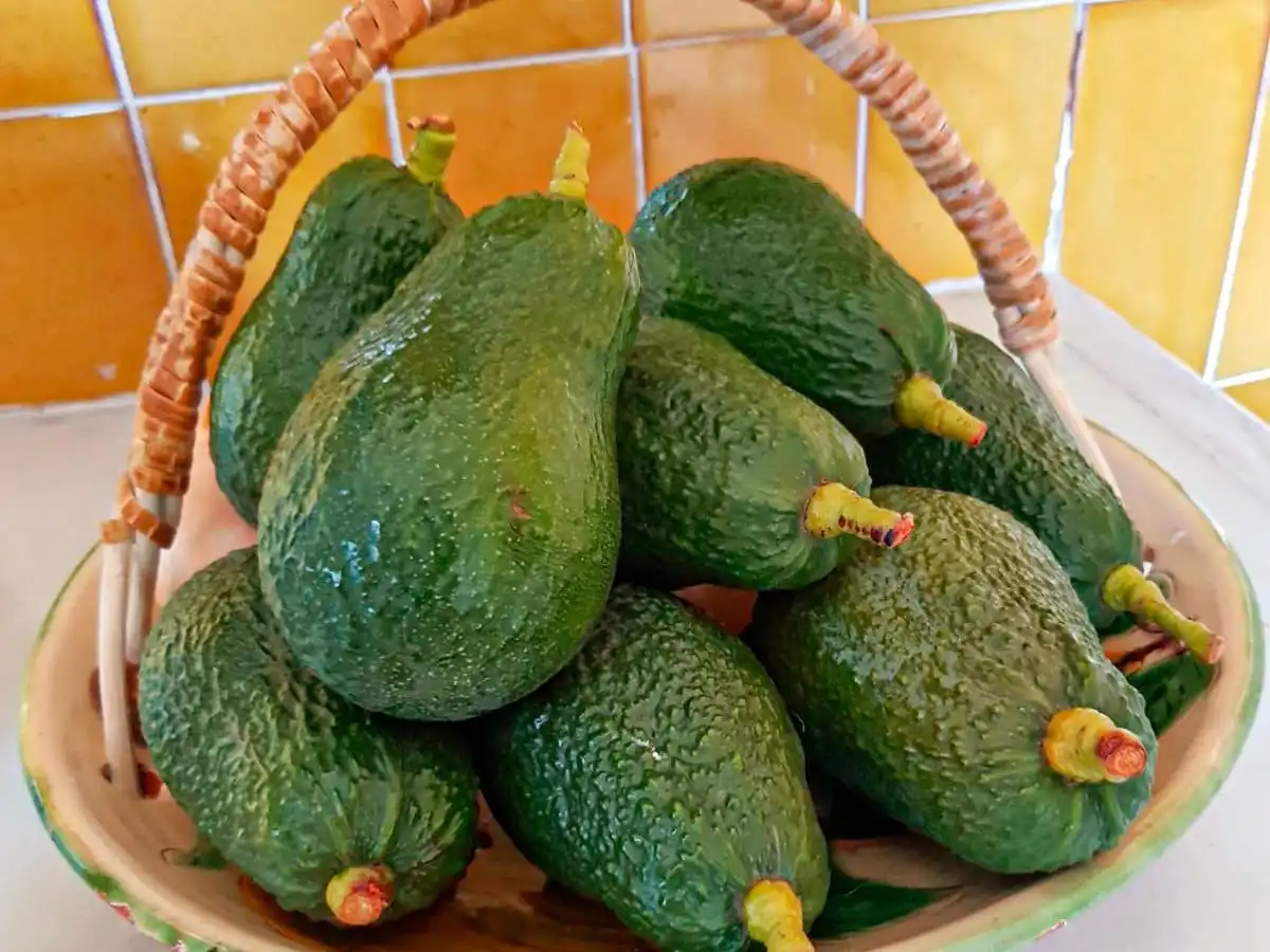 Finca rústica en venta en Polop