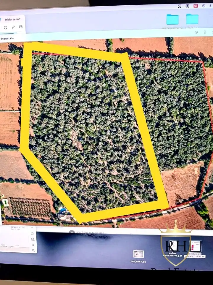 Lands and plots for sale in POLIGONO 49 PARCELA 3, imagen 27