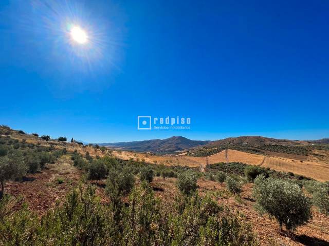 Terreno industrial en Venta en ARROYO COCHE en Almogía