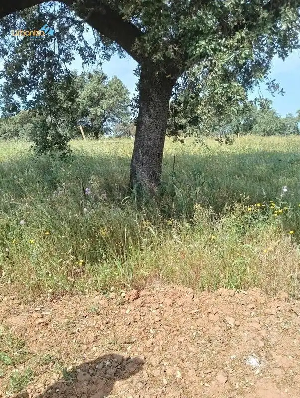 Terreni e lotti in vendita a Dehesilla de Calamón - Campomanes, imagen 10