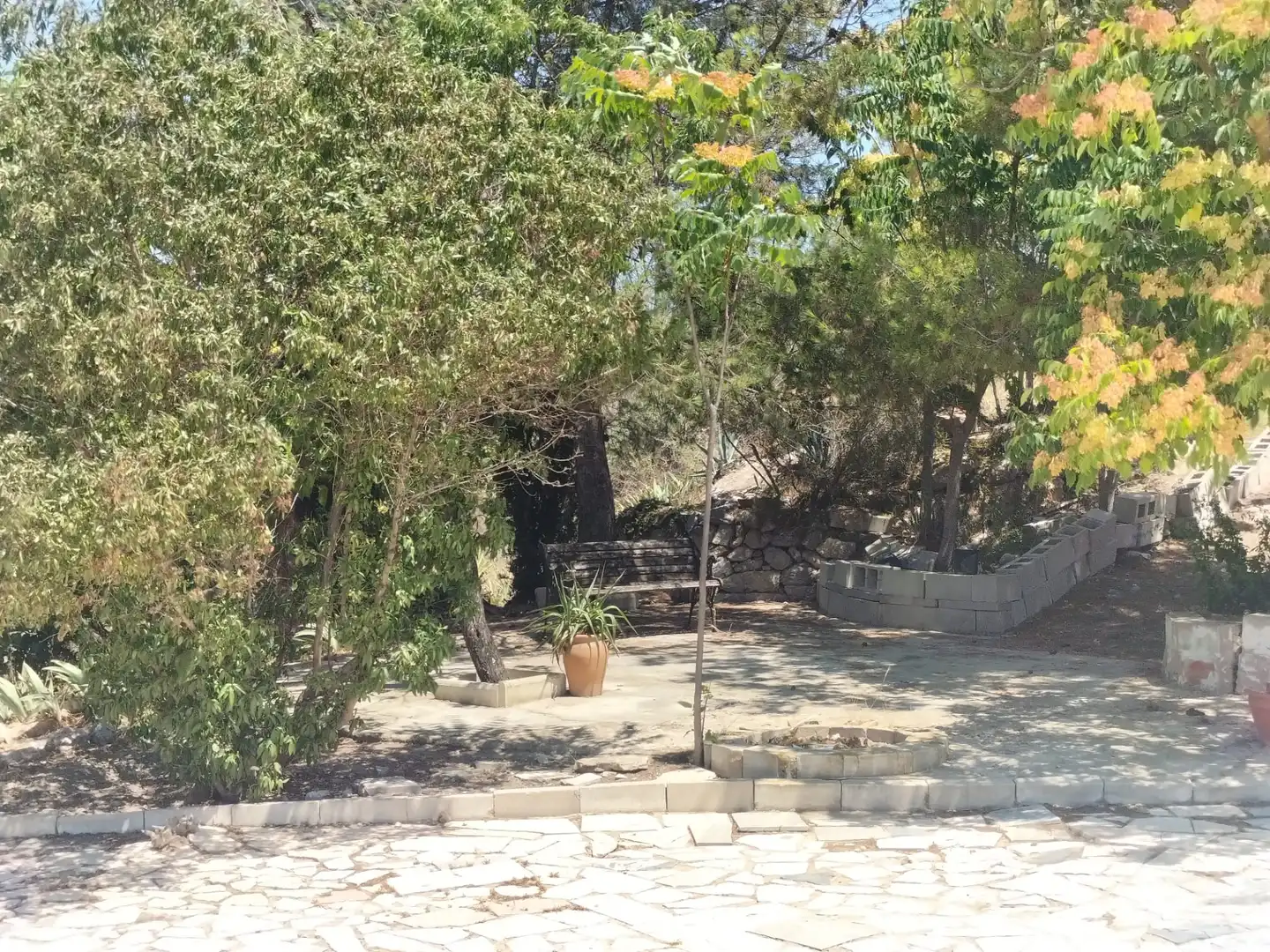 Jardín de Casa o chalet en venta en Sax con Jardín privado, Terraza y Trastero