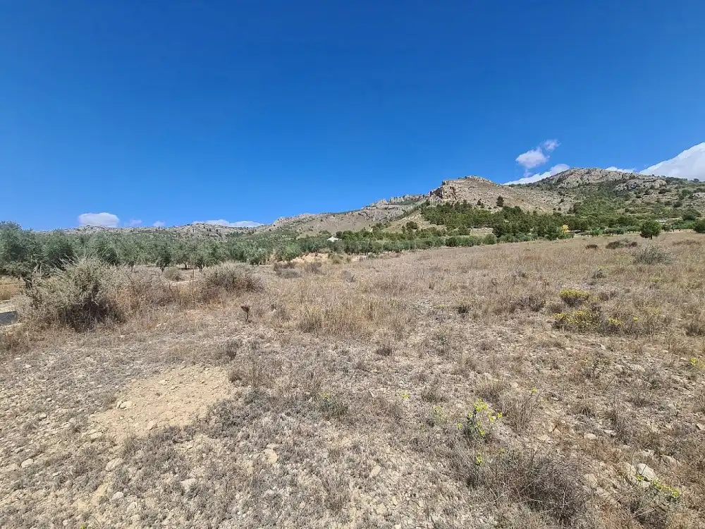 Residential land for sale in Las Tiesas