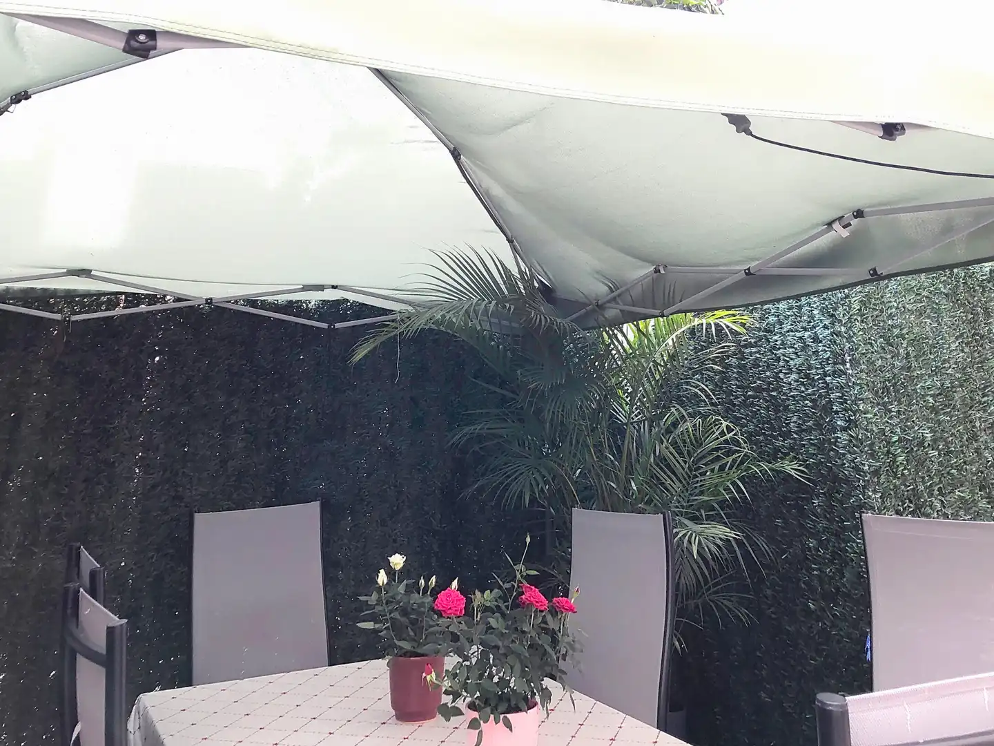 Reihenhaus mit Pool zum Verkauf in Selwo, imagen 10