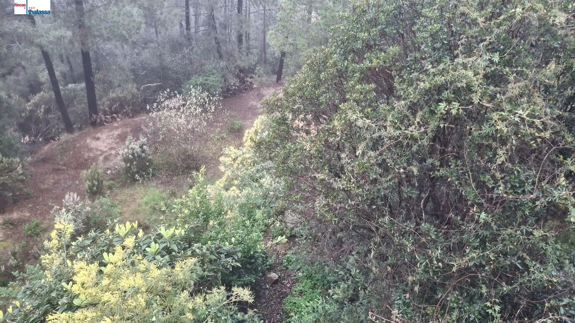 Terrenos y solares en venta en Lloret Residencial - Montlloret