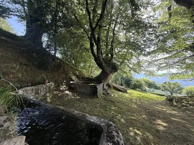 Garten von Country house zum Verkauf in Arakaldo mit Abstellraum