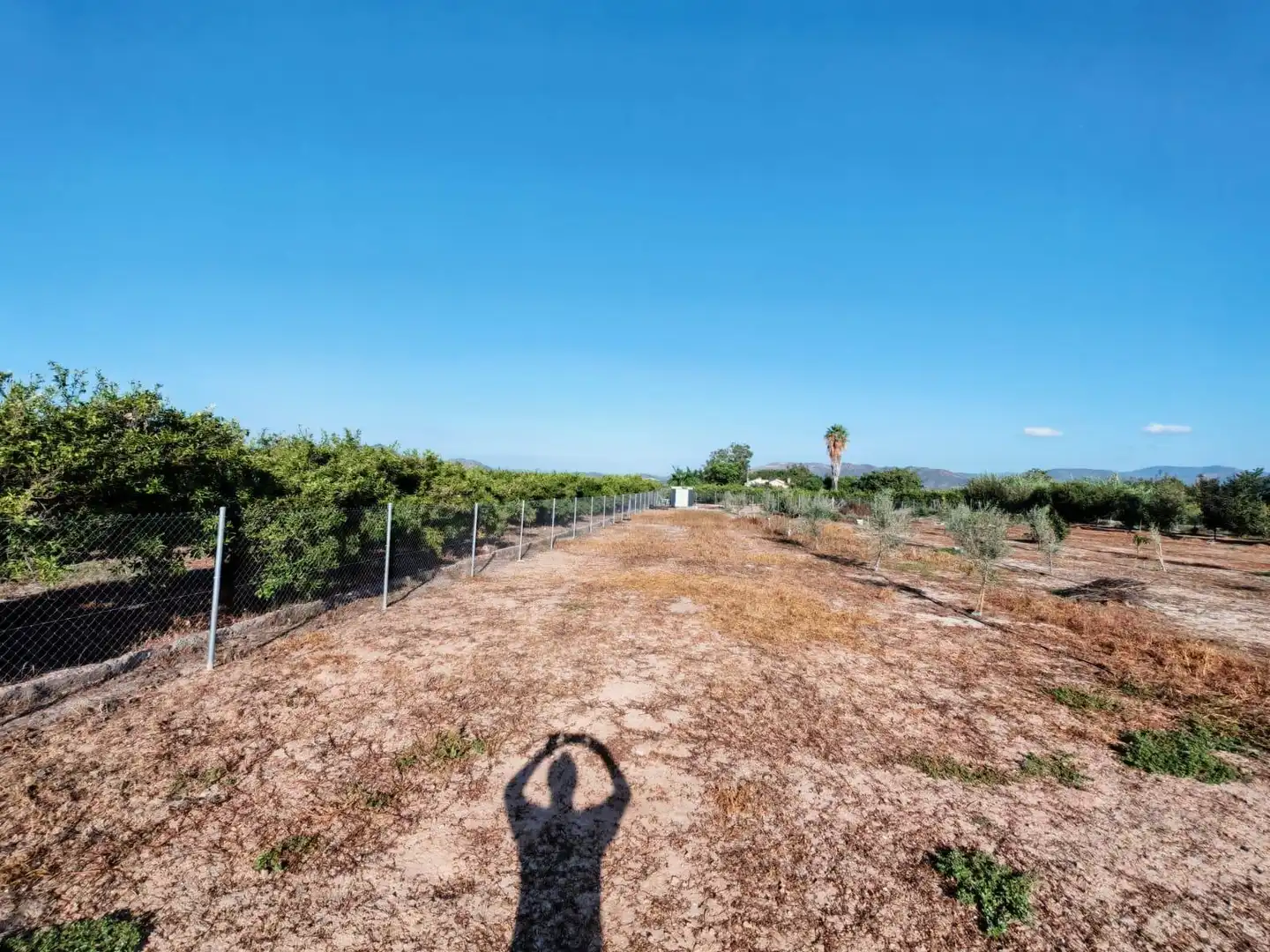 Rural land for sale in Benavites, imagen 8