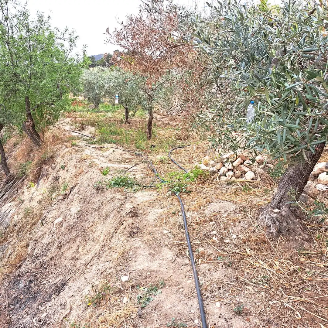 Finca rústica en venta en Sella
